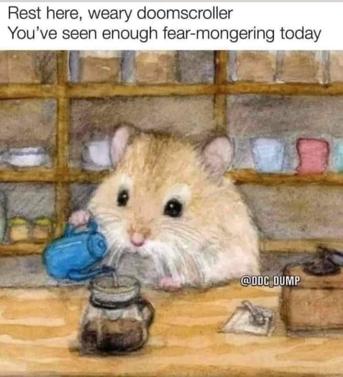 Rest here weary doomscroller h fear mongering today I