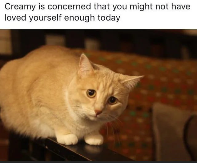 Creamy is concerned that you might no loved yourself enough today