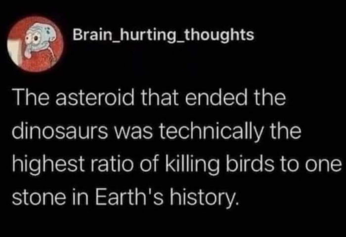 Brain_hurting_thoughts I CENCleIeRigEIqlale T RplE o ale 1 VESRWETR lelglaller YA alE highest ratio of killing birds to one stone in Earths history