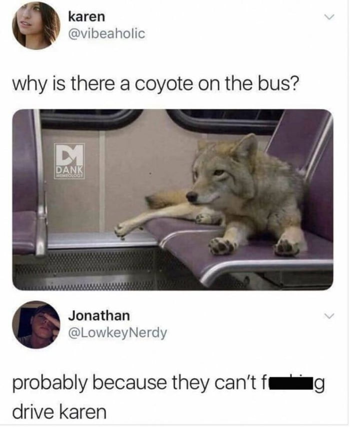 karen vibeaholic why is there a coyote on the bus Jonathan LowkeyNerdy probably because they cant f umislg drive karen