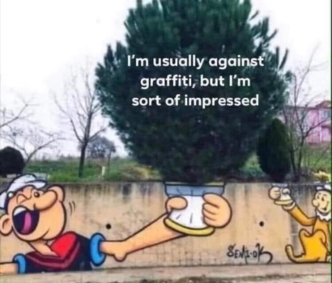 Im usually against graffiti but Im sort of impressed lg B