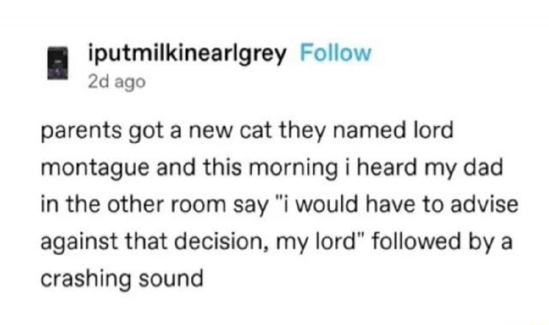 parents got a new cat they named lord montague and this morning i heard my dad in the other room say 