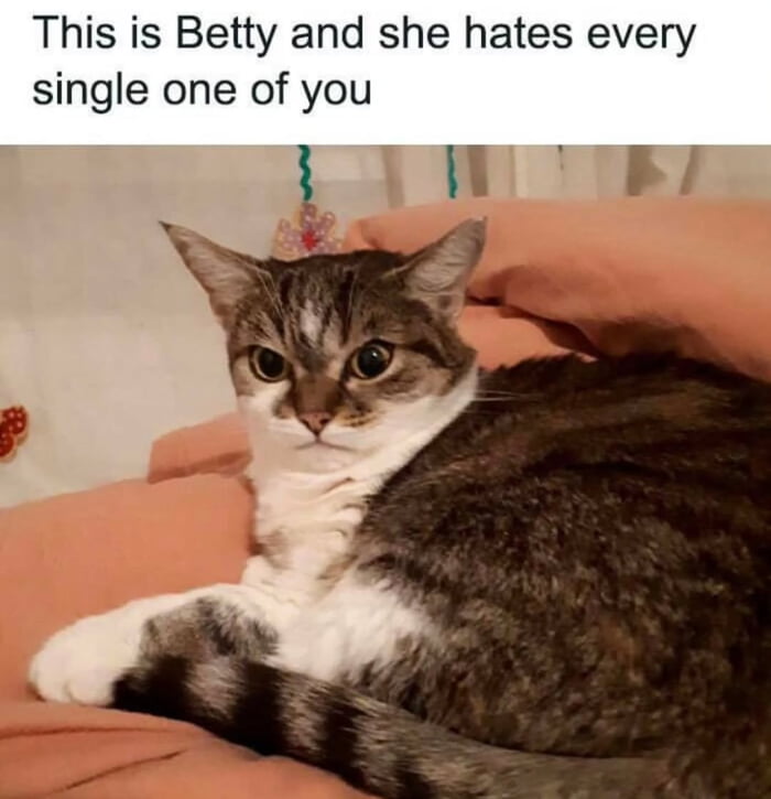 This is Betty and she hates every single one of you