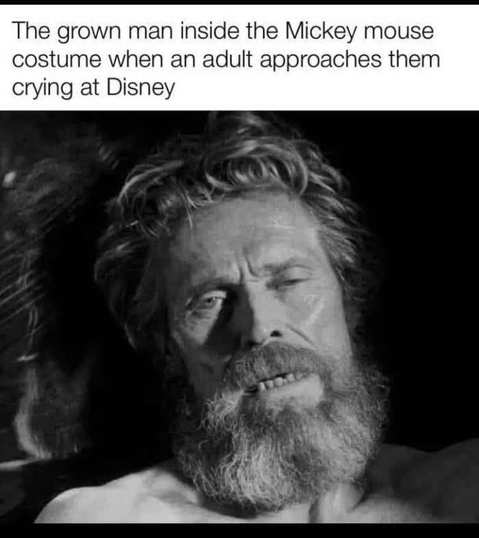 The grown man inside the Mickey mouse costume when an adult approaches them crying at Disney