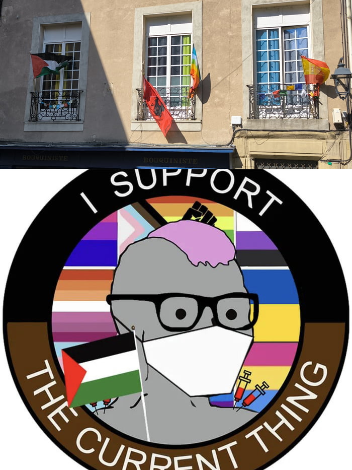 I SUPPORT THE CURRENT THING. Flags visible: Palestinian flag, rainbow pride flag, a red flag, and another flag (possibly Spanish). A person with glasses and a mask, with a pink brain, is depicted against a background of various pride flags. A raised fist and syringes are also shown.