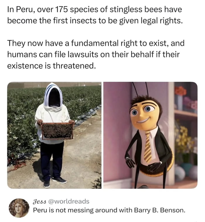 In Peru, over 175 species of stingless bees have become the first insects to be given legal rights. They now have a fundamental right to exist, and humans can file lawsuits on their behalf if their existence is threatened. 

Jess @worldreads Peru is not messing around with Barry B. Benson.
