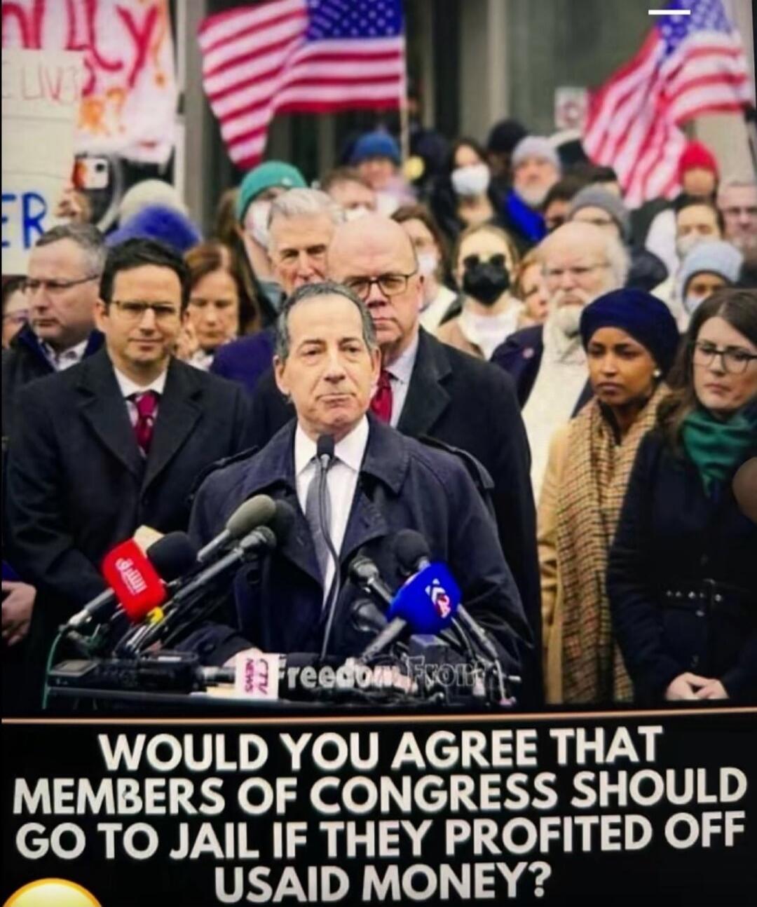 WOULD YOU AGREE THAT MEMBERS OF CONGRESS SHOULD GO TO JAIL IF THEY PROFITED OFF USAID MONEY?