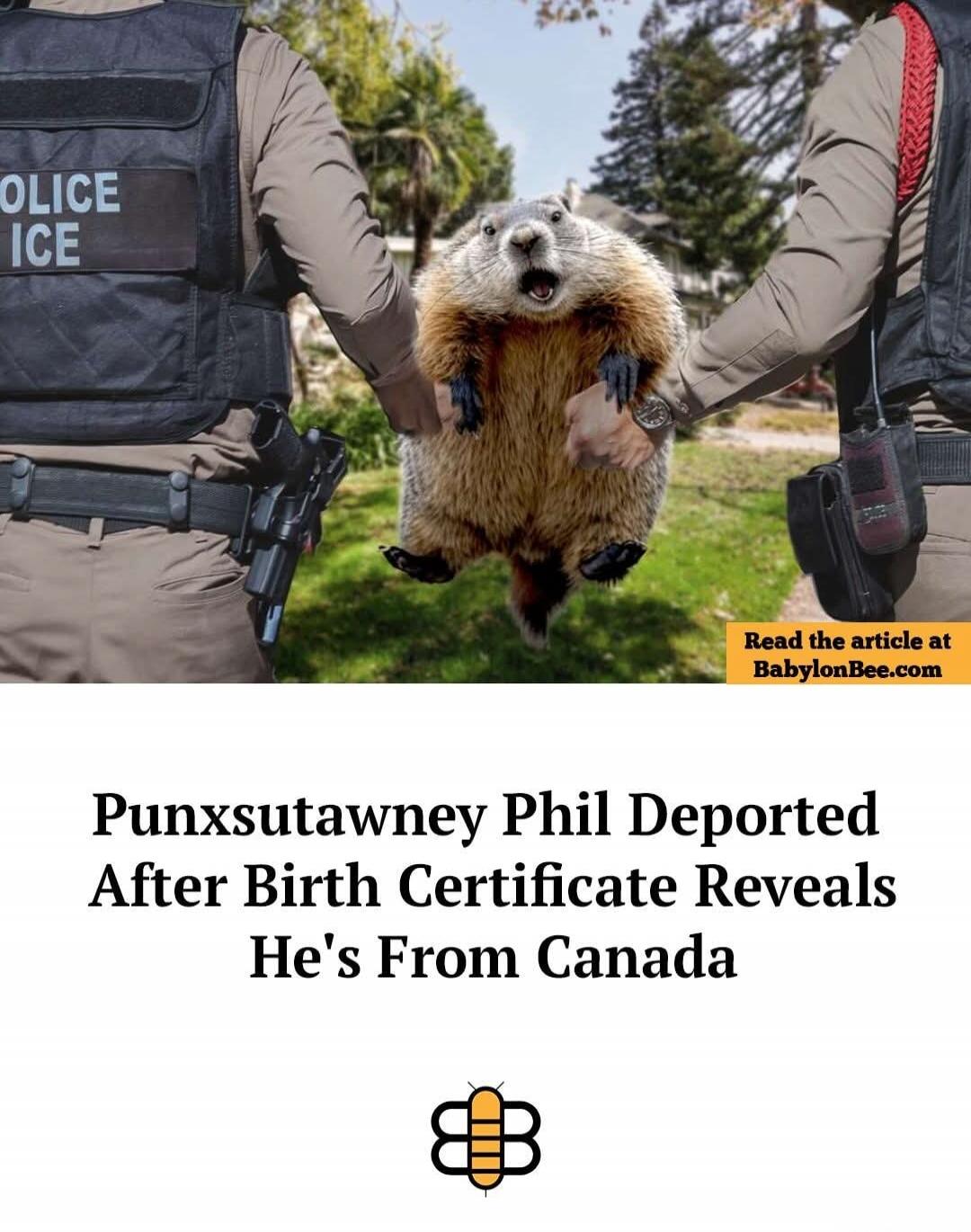 Punxsutawney Phil Deported After Birth Certificate Reveals He's From Canada
Read the article at BabylonBee.com