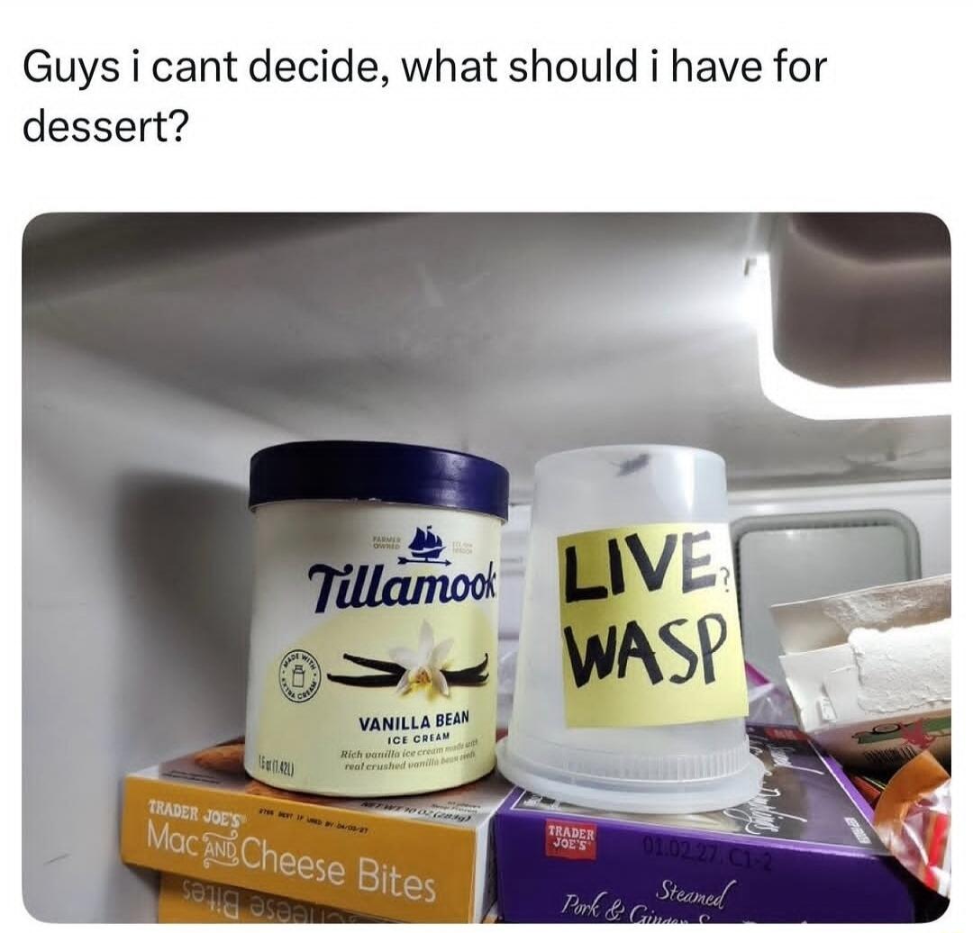 Guys i cant decide, what should i have for dessert?

Tillamook Vanilla Bean ice cream
LIVE WASP