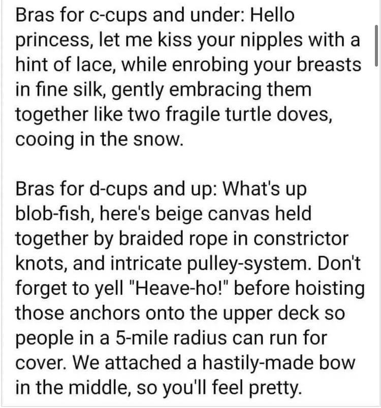 Bras for c cups and under Hello princess let me kiss your nipples with a hint of lace while enrobing your breasts in fine silk gently embracing them together like two fragile turtle doves cooing in the snow Bras for d cups and up Whats up blob fish heres beige canvas held together by braided rope in constrictor knots and intricate pulley system Dont forget to yell Heave ho before hoisting those an