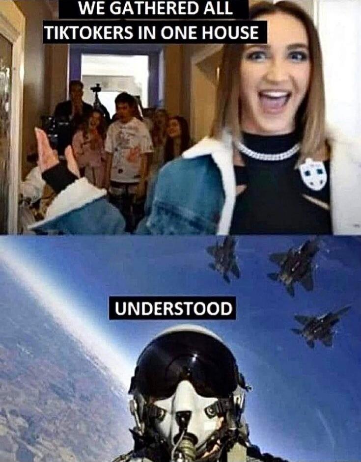 WE GATHERED ALL TIKTOKERS IN ONE HOUSE
UNDERSTOOD