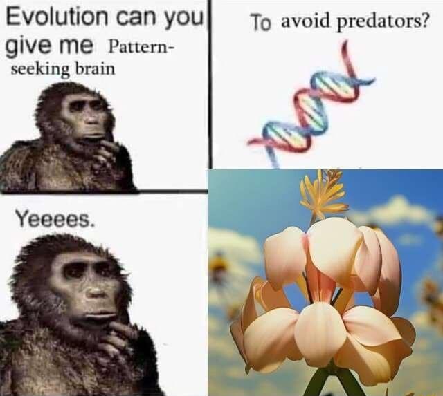 Evolution can you To avoid predators give me Pattern secking brain