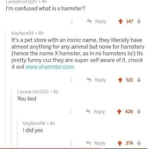 Laxwarmoriicy sh Im confused what is x hamster Reply 4 W7 Kayface94 4h Its a pet store with an ironic name they literally have almost anything for any animal but none for hamsters hence the name X hamster as in no hamsters lol Its pretty funny cuz they are super self aware of it check it out wwwxhamstercom Reply 52 Laxwartior1120 4h You lied Reply 4 426 Klaytace94 4h did yes o Reply T