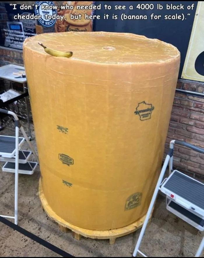 AR uayb tihere it is banana for scale