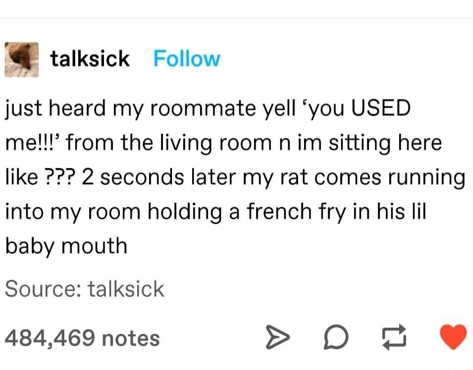 talksick Follow just heard my roommate yell you USED mel from the living room n im sitting here like 2 seconds later my rat comes running into my room holding a french fry in his lil baby mouth Source talksick 484469 notes D 2 e