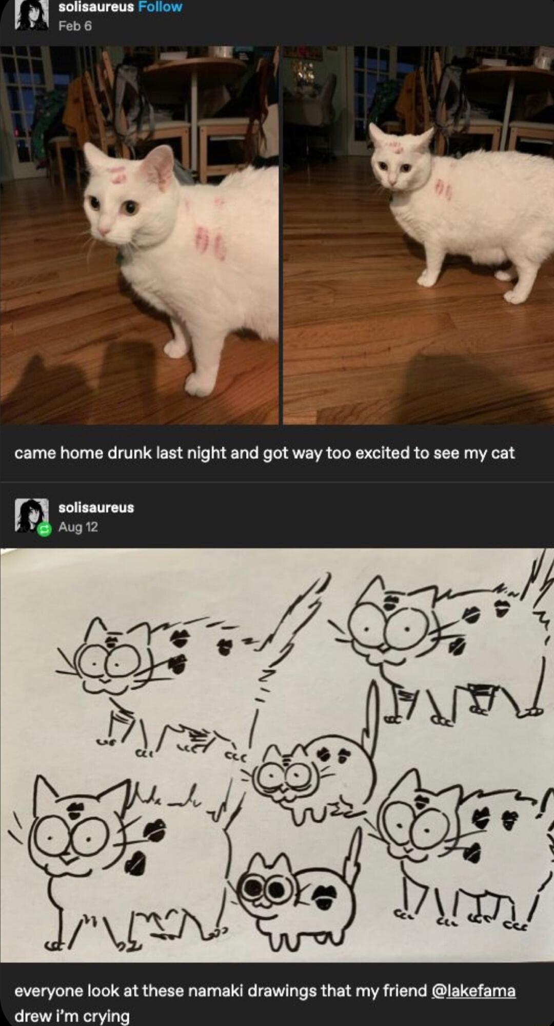 Al x B came home drunk last night and got way too excited to see my cat everyone look at these namaki drawings that my friend lakefama drew Im crying