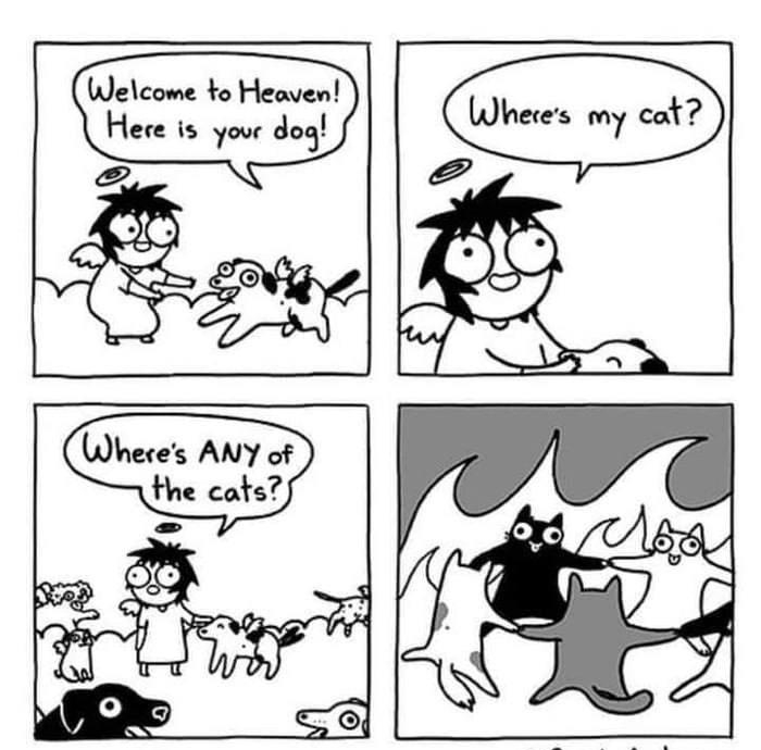 Welcome to Heaven Here is your d st ow Sarok Andersen