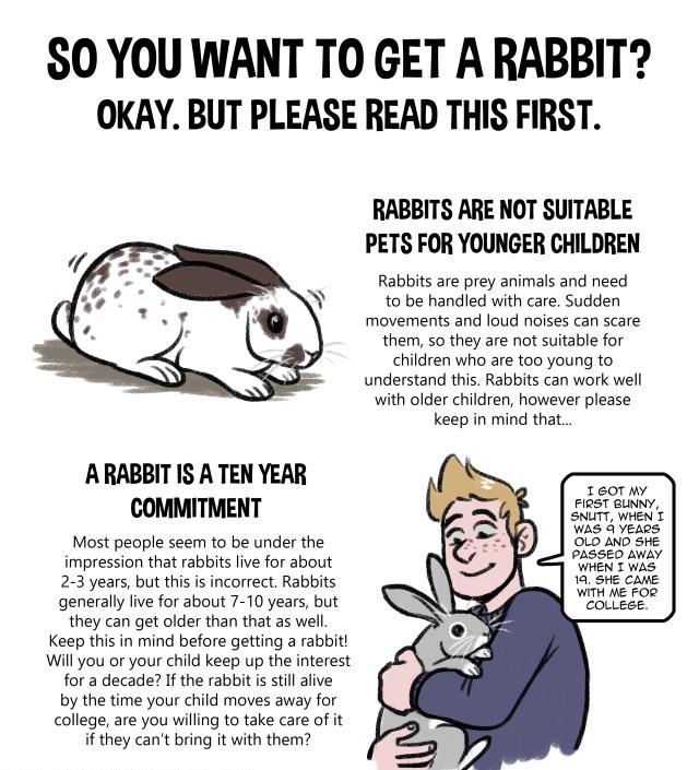 S0 YOU WANT TO GET A RABBIT OKAY BUT PLEASE READ THIS FIRST RABBITS ARE NOT SUITABLE PETS FOR YOUNGER CHILDREN Rabbits are prey animals and need to be handled with care Sudden movements and loud noises can scare them 5o they are not suitable for children who are too young to understand this Rabbits can work well with older children however please keep in mind that ARABBIT IS A TEN YEAR COMMITMENT 