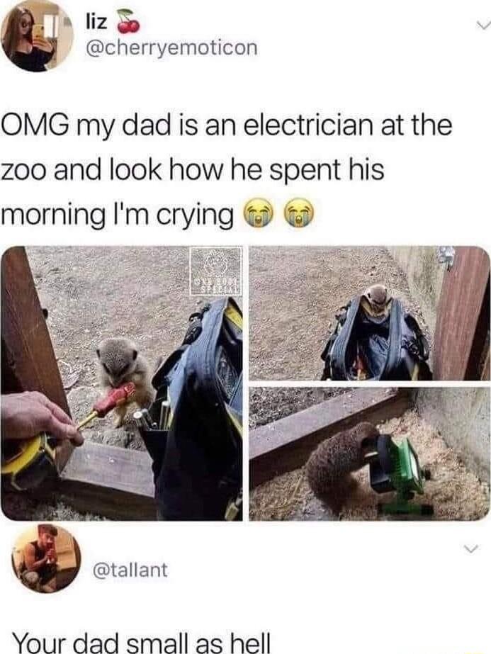 s liz 3 cherryemoticon OMG my dad is an electrician at the z0o and look how he spent his morning Im crying tallant Your dad small as hell