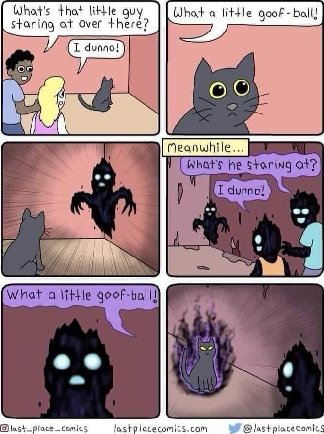 Whats that litte quy What a litle goof ball staring ot over here M lost_pioce_comics lastplacecomicscom W lastplacecomics