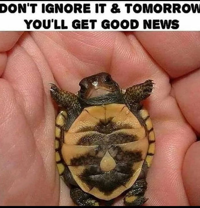 DONT IGNORE IT TOMORRO YOULL GET GOOD NEWS o