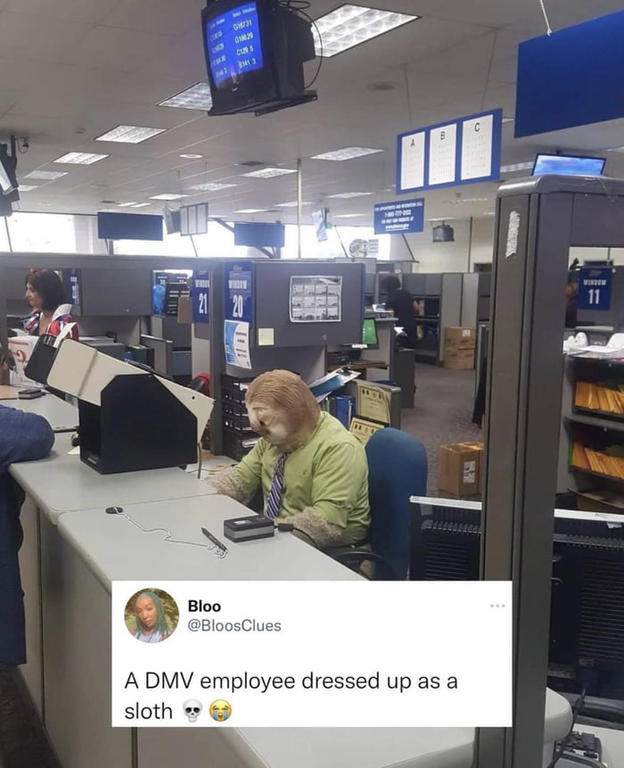 BloosClues A DMV employee dressed up as a sloth