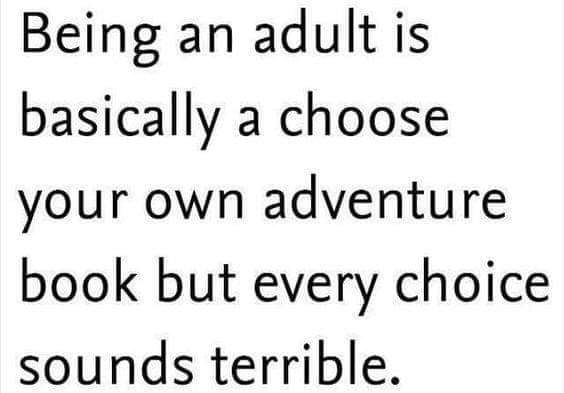 Being an adult is basically a choose your own adventure book but every choice sounds terrible