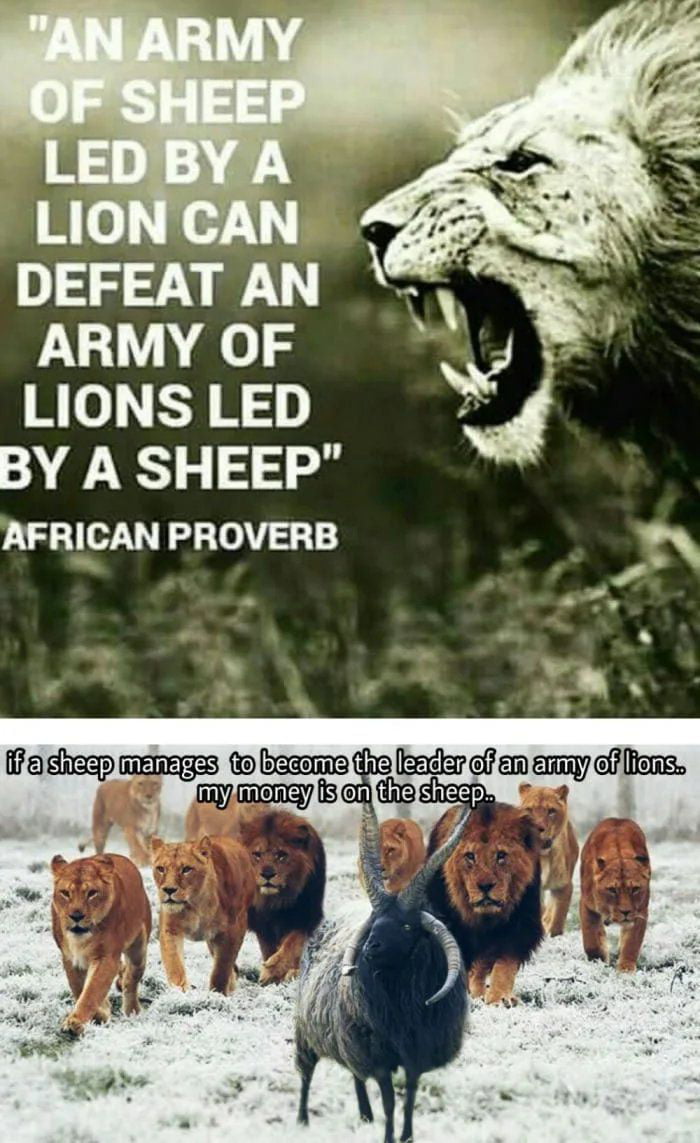 Mo R N BY A SHEEP AFRICAN PROVERB