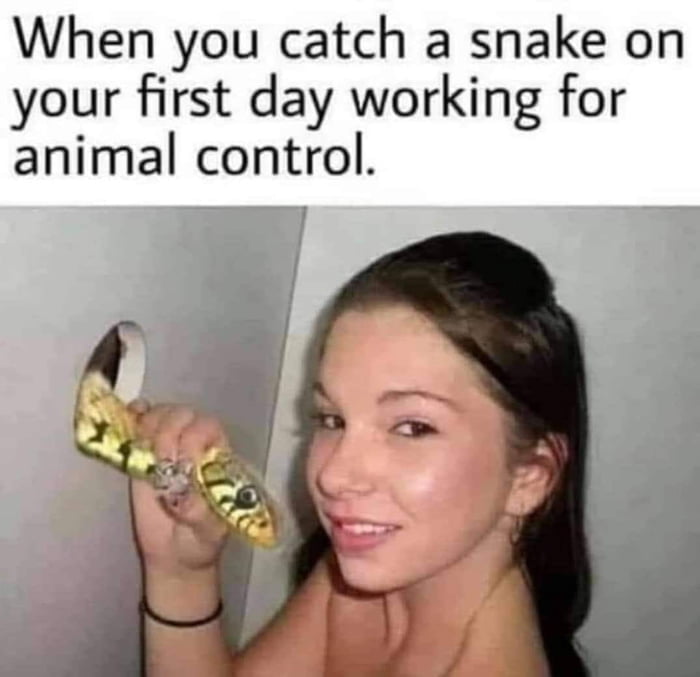 When you catch a snake on your first day working for animal control