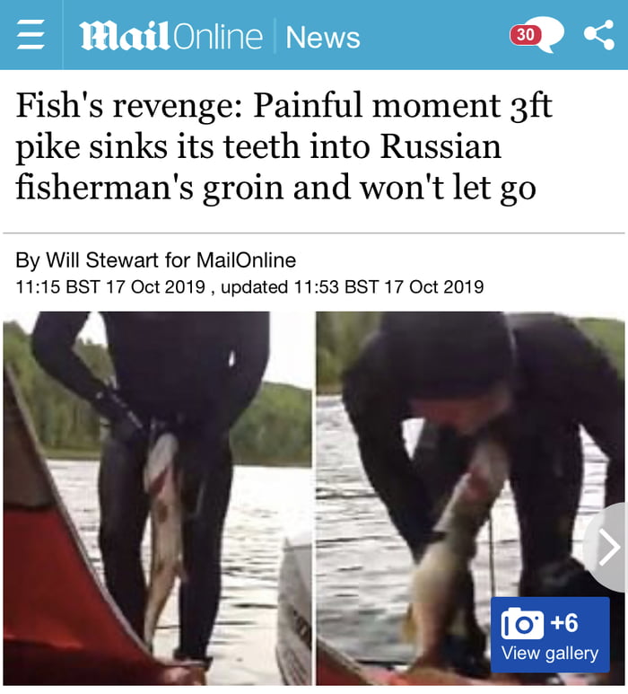 Fishs revenge Painful moment 3ft pike sinks its teeth into Russian fishermans groin and wont let go By Will Stewart for MailOnline 1115 BST 17 Oct 2019 updated 1153 BST 17 Oct 2019