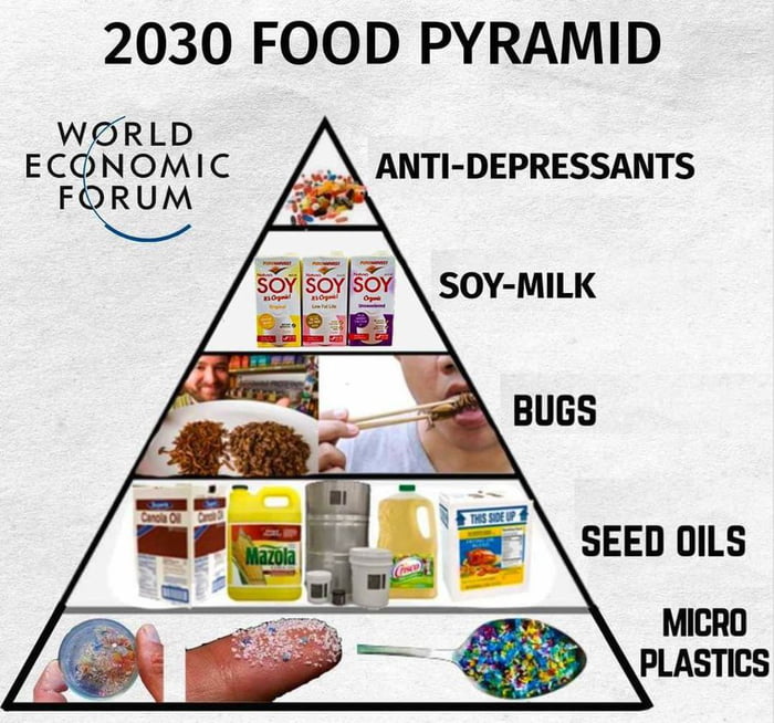 2030 FOOD PYRAMID WORLD ECONOMIC