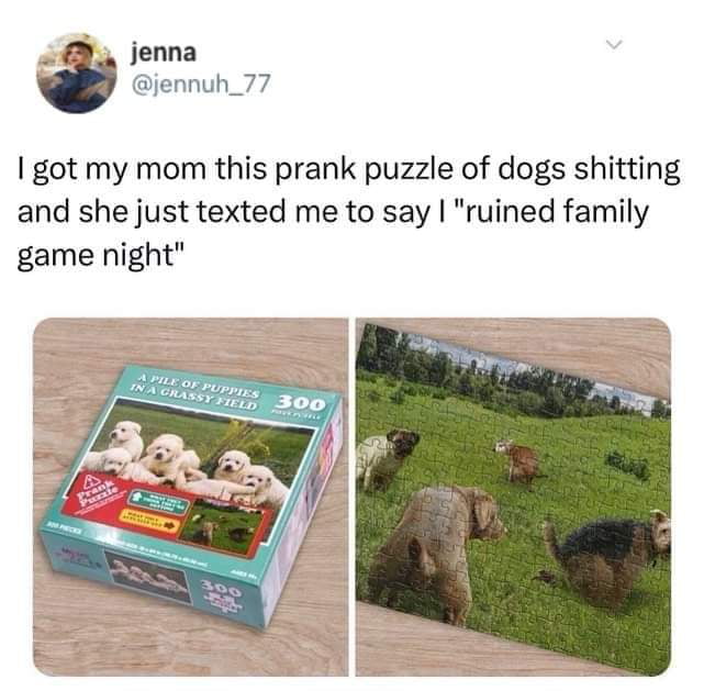 jenna ajennuh_77 got my mom this prank puzzle of dogs shitting and she just texted me to say ruined family game night