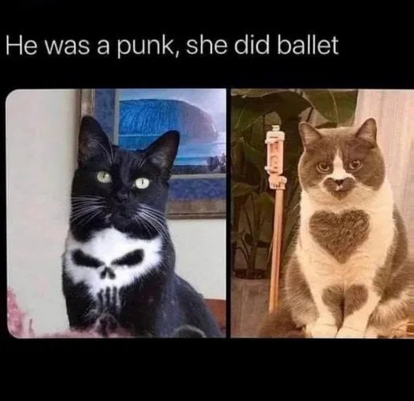 He was a punk she did ballet