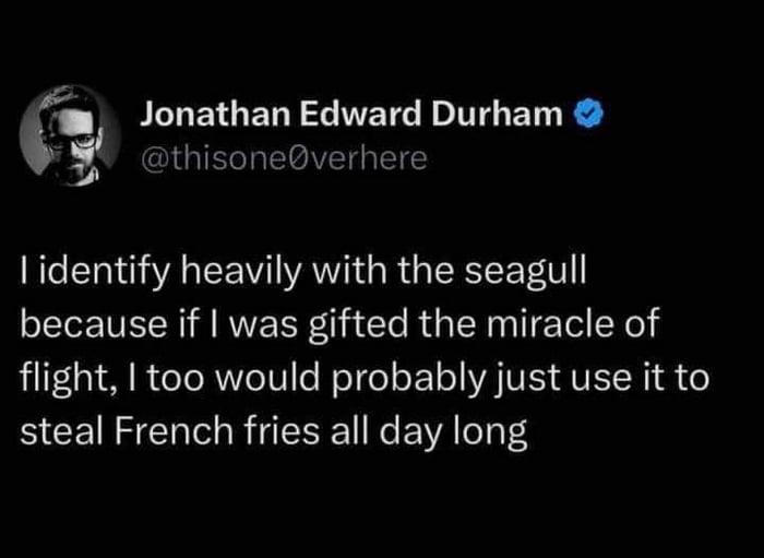 SINETGENY L IVETE L T ET R GGG EOVE G identify heavily with the seagull because if was gifted the miracle of flight too would probably just use it to steal French fries all day long