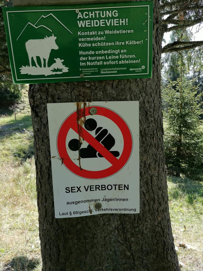ACHTUNG WEIDEVIEH Kontaktzu Weidetieren vermelden Kahe achiitzen ihre Kilber Hunde unbedingtan dor kurzen Loine fdhren m Notfallsofort abieinen ol e SEX VERBOTEN susgenommgn hoerinnen henrsverorcnung Loutg 691gosc