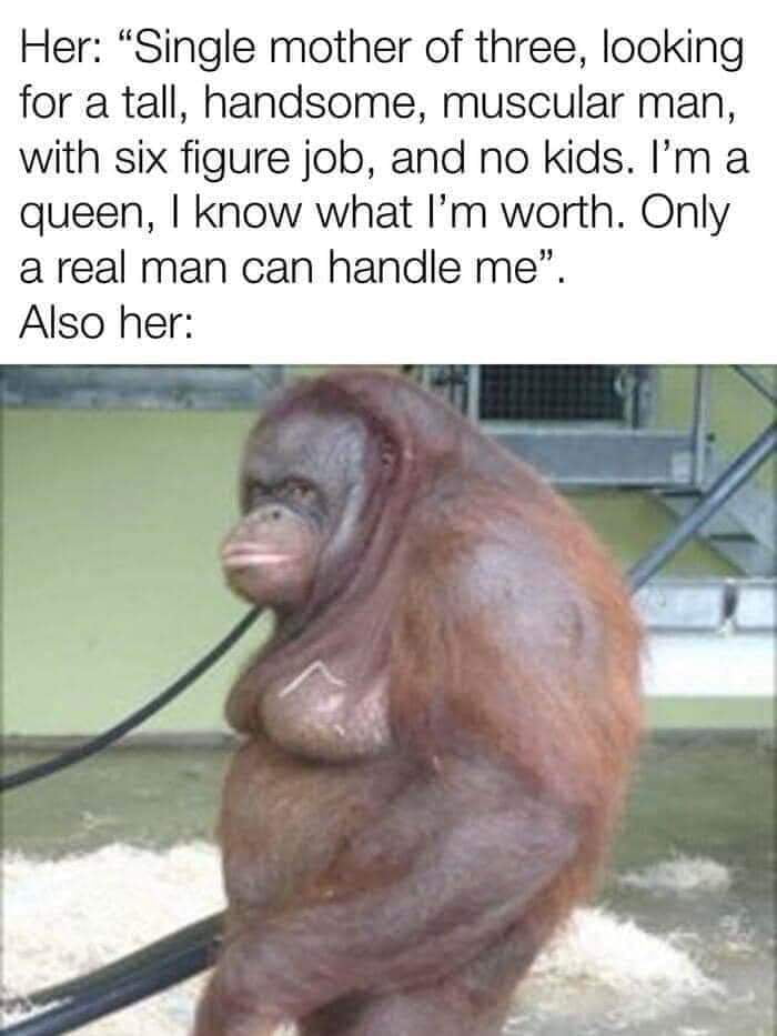 Her Single mother of three looking for a tall handsome muscular man with six figure job and no kids Im a queen know what Im worth Only areal man can handle me Also her