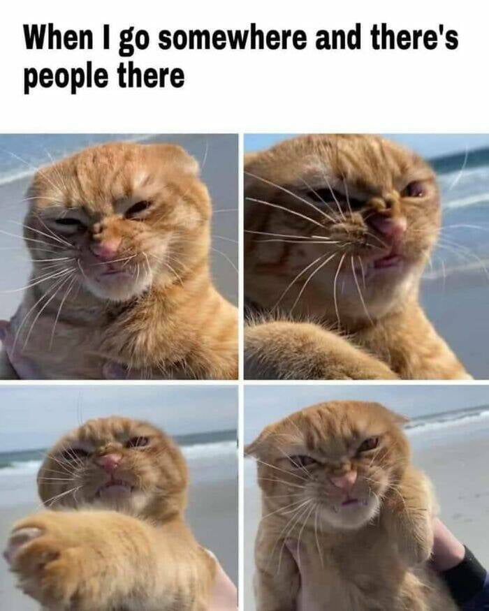 When go somewhere and theres people there