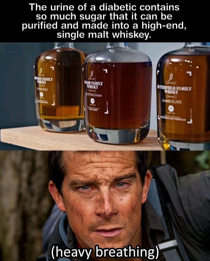 The urine of a diabetic contains so much sugar that it can be purified and made into a high end single malt whiskey he avy reathlng