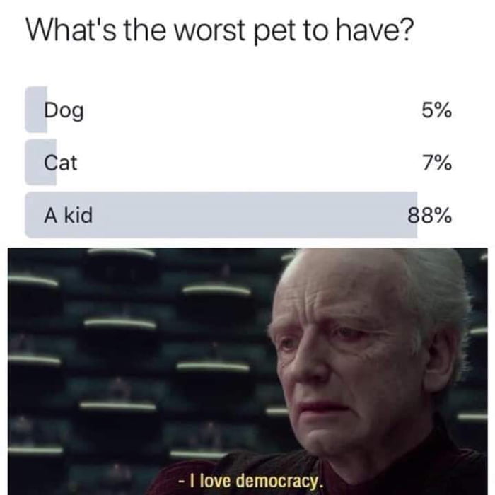 Whats the worst pet to have Dog 5 Cat 7 A kid 88 I love democracy