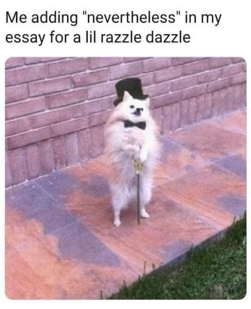 Me adding nevertheless in my essay for a lil razzle dazzle