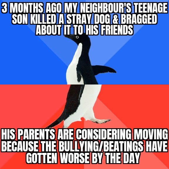 3 MONTHSIAGOMYNEIGHBOURSITEENAGE SONKILLEDIASTRAYDOGIIBRAGGED T ARSI HISIPARENTS ARE GONSIDERING MOVING BECAUSE THE BULLYINGBERTINGSHAVE GOTTENWORSEBYATHEIDRY