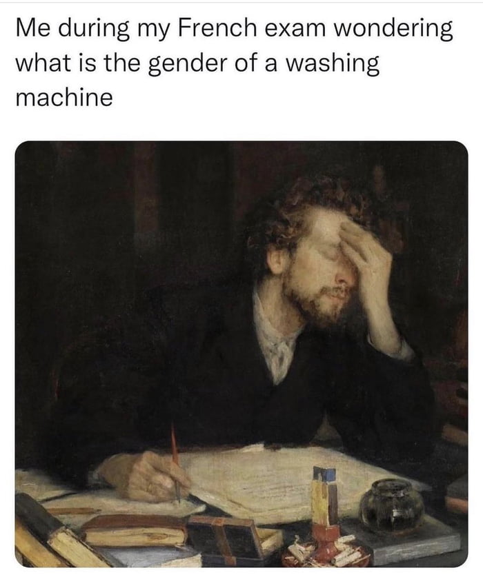 Me during my French exam wondering what is the gender of a washing machine