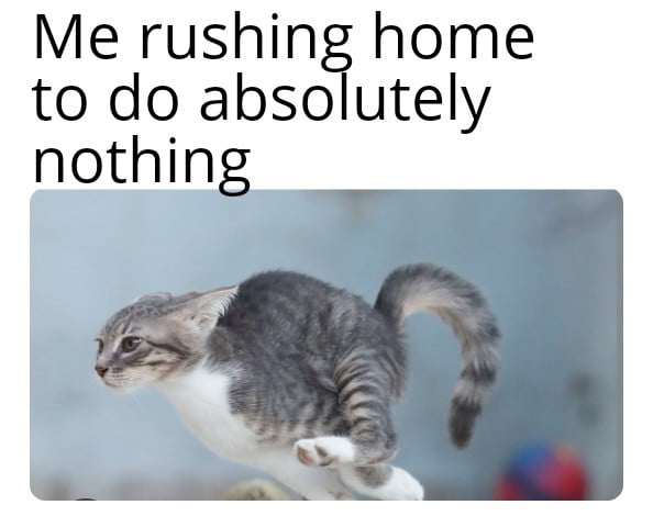 Me rushing home to do absolutely nothing