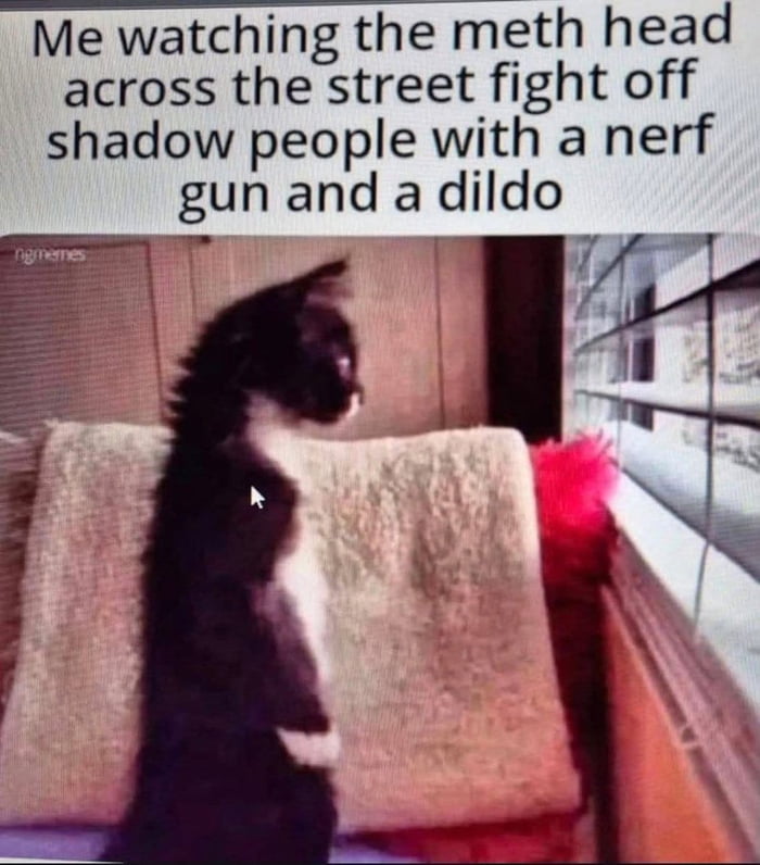 Me watching the meth head across the street fight off shadow people with a nerf gun and a dildo