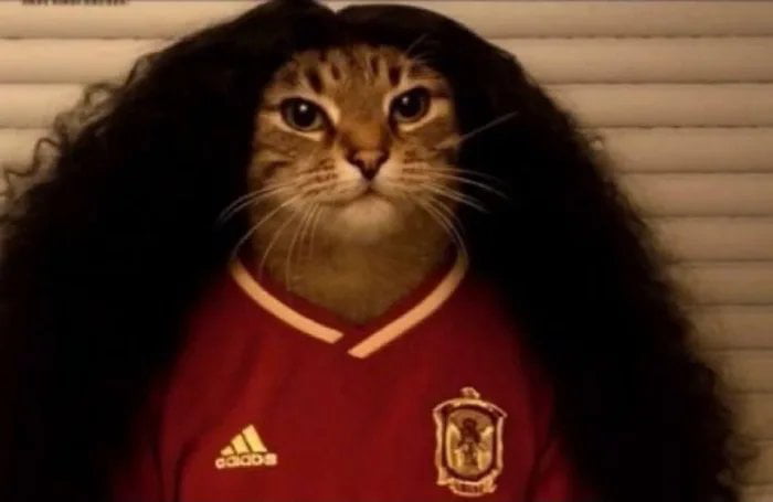 A cat wearing a long, curly black wig and a red Adidas sports jersey with a national emblem on it. The cat looks directly at the camera.