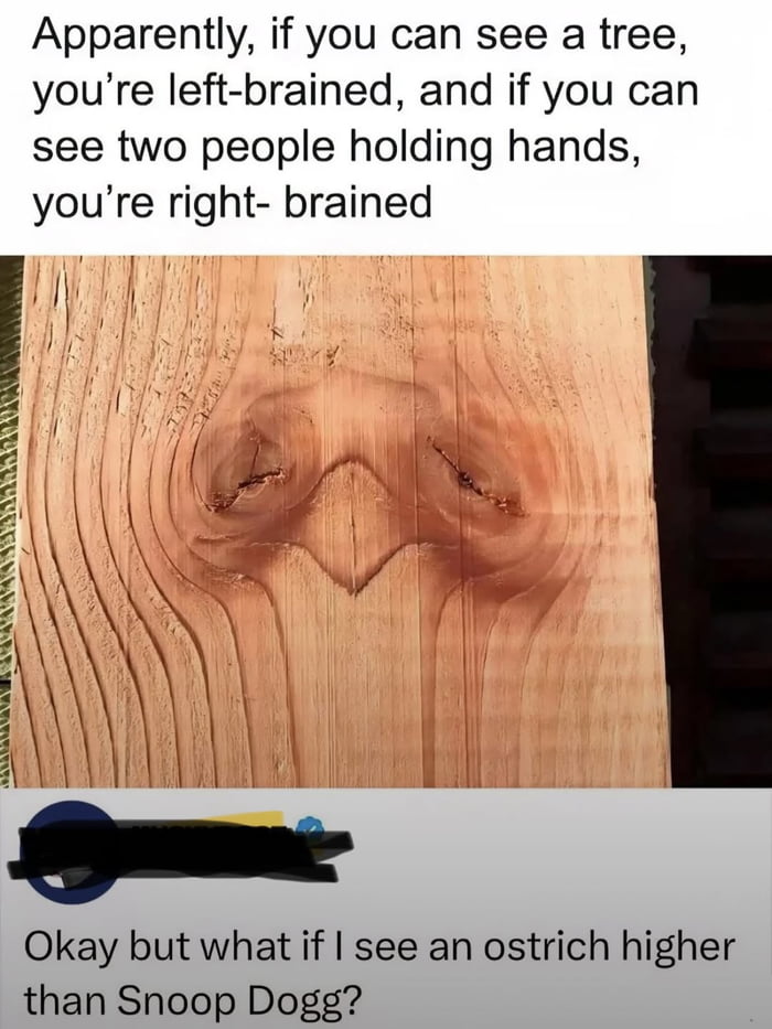 Apparently, if you can see a tree, you're left-brained, and if you can see two people holding hands, you're right-brained. Okay but what if I see an ostrich higher than Snoop Dogg?