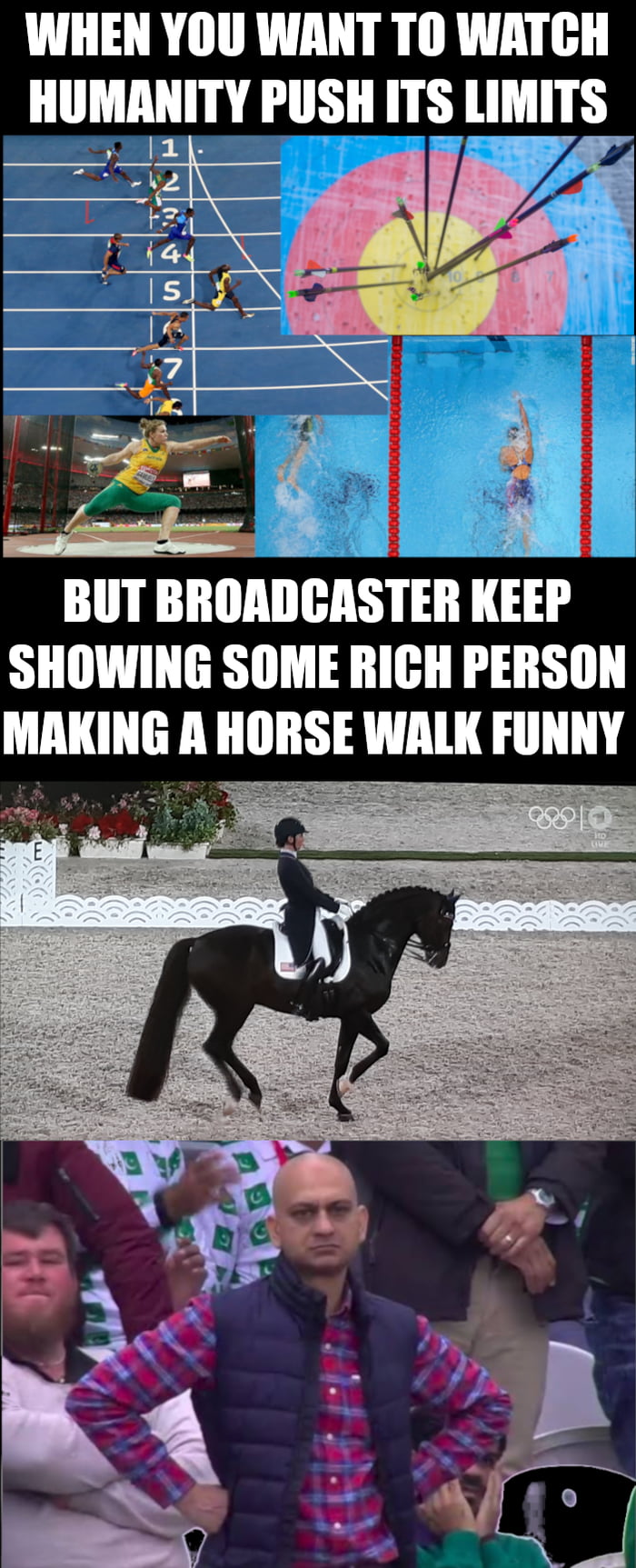 WHEN YOU WANT T0O WATCH HUMANITY PUSH ITS LIMITS 2 5 BUT BIIlIAIIGASIEIl IEEI SHOWING SOME RICH PERSON MAKING R HORSE WALK FUNNY