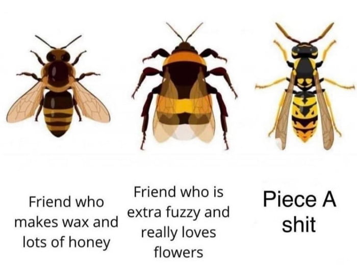 Friend who il s Piece A extra fuzzy and really loves shit flowers makes wax and lots of honey