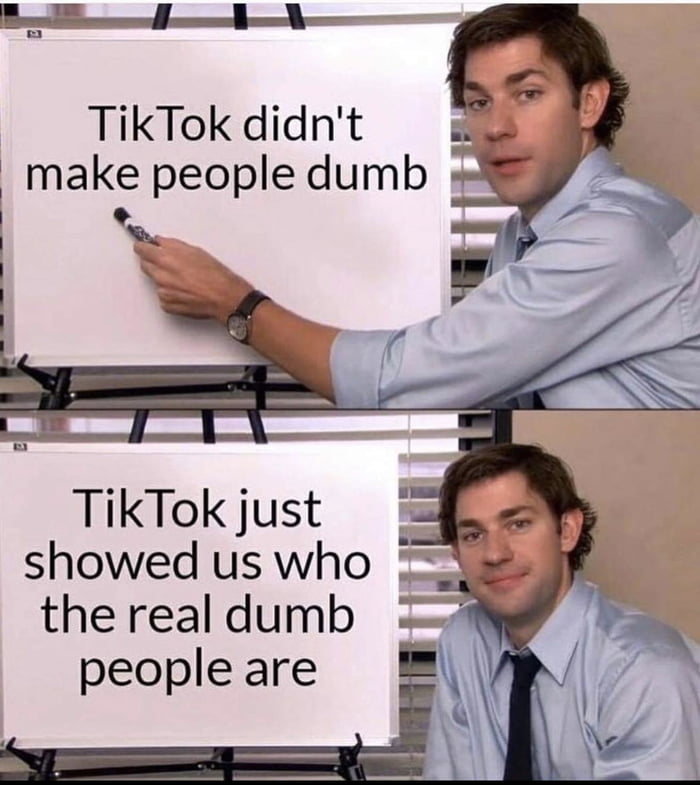 TikTok didnt make people dumb LA I J TikTok just showed us who