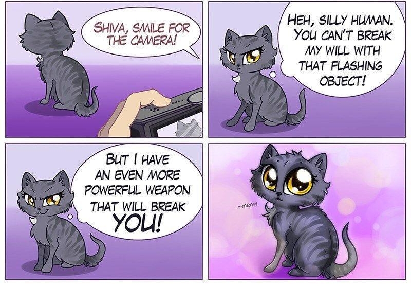 SHIVA SMILE FOR THE CAMERA HEH SILLY HUMAN YOU CANT BREAK MY WILL WITH THAT FLASHING OBJECT BUT HAVE AN EVEN MORE POWERFLIL WEAPON THAT WILL BIEAK
